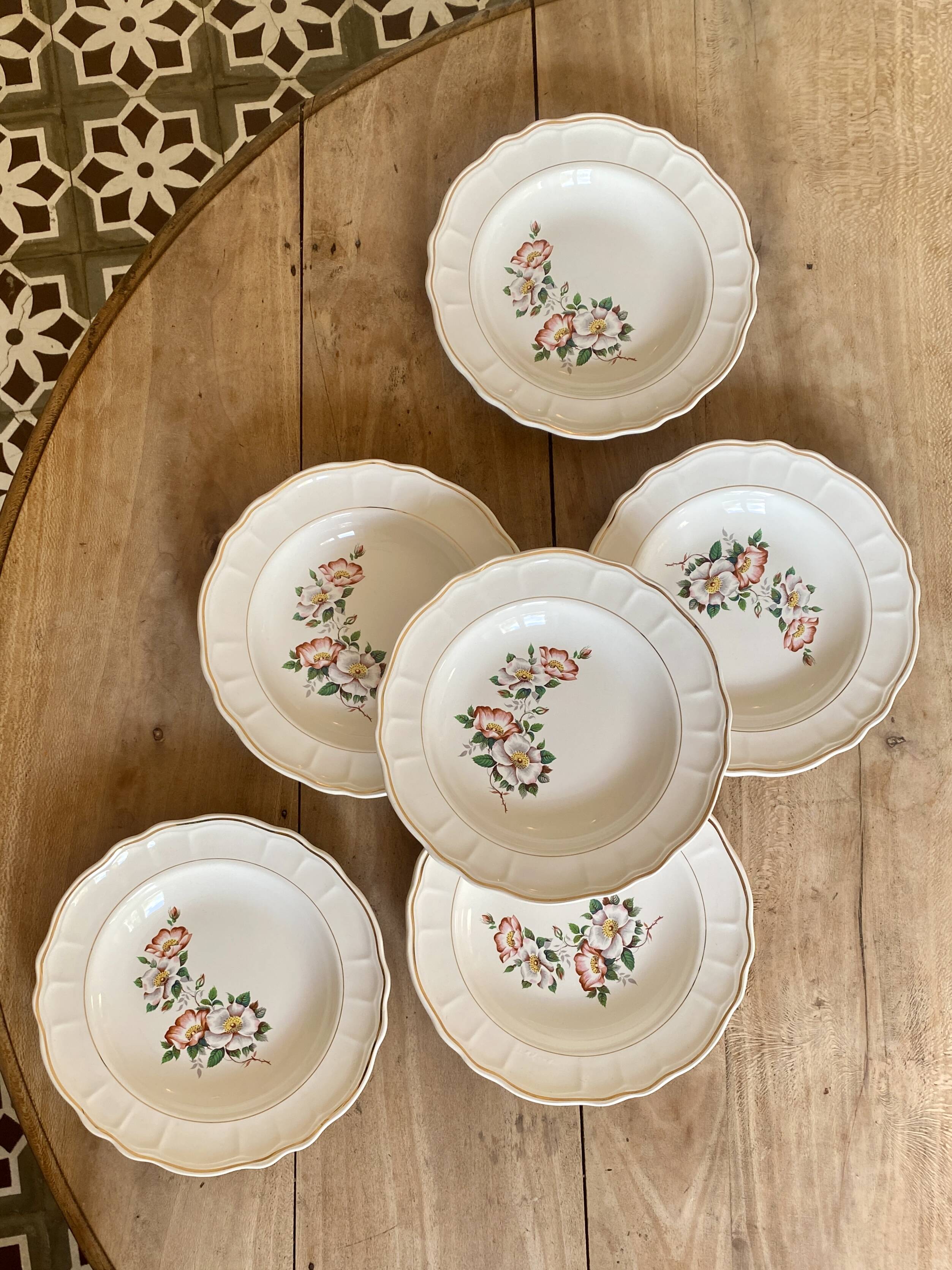 Set of 6 vintage Salins soup plates