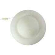 Mushroom Design Lamp Frosted Glass Mat Space Age Peill & Putzler