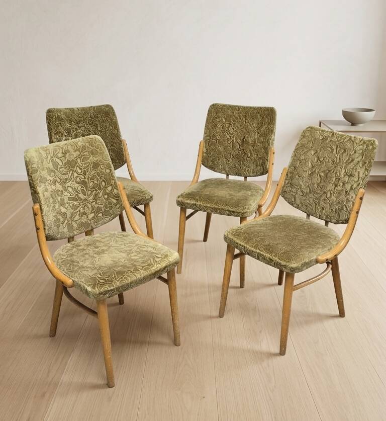 Bentwood dining chairs set of 4, retro beech wood & olive velour, TON 1960s–1970s, Czechoslovakia