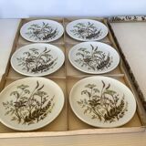 Bavarian Germany herbarium cups