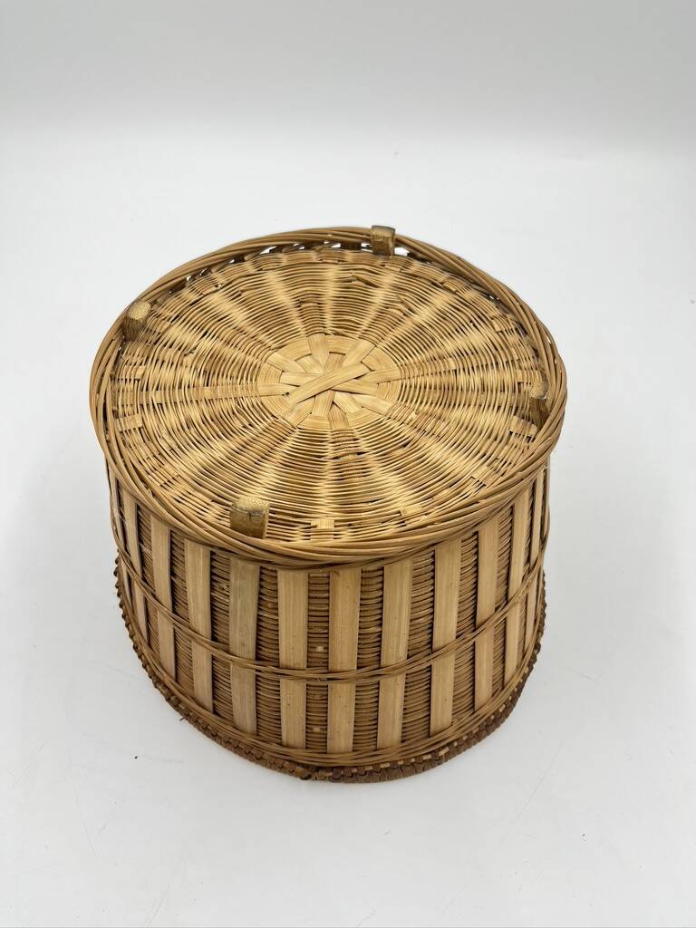 Wicker plant pot