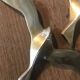 Pair of brass swallows