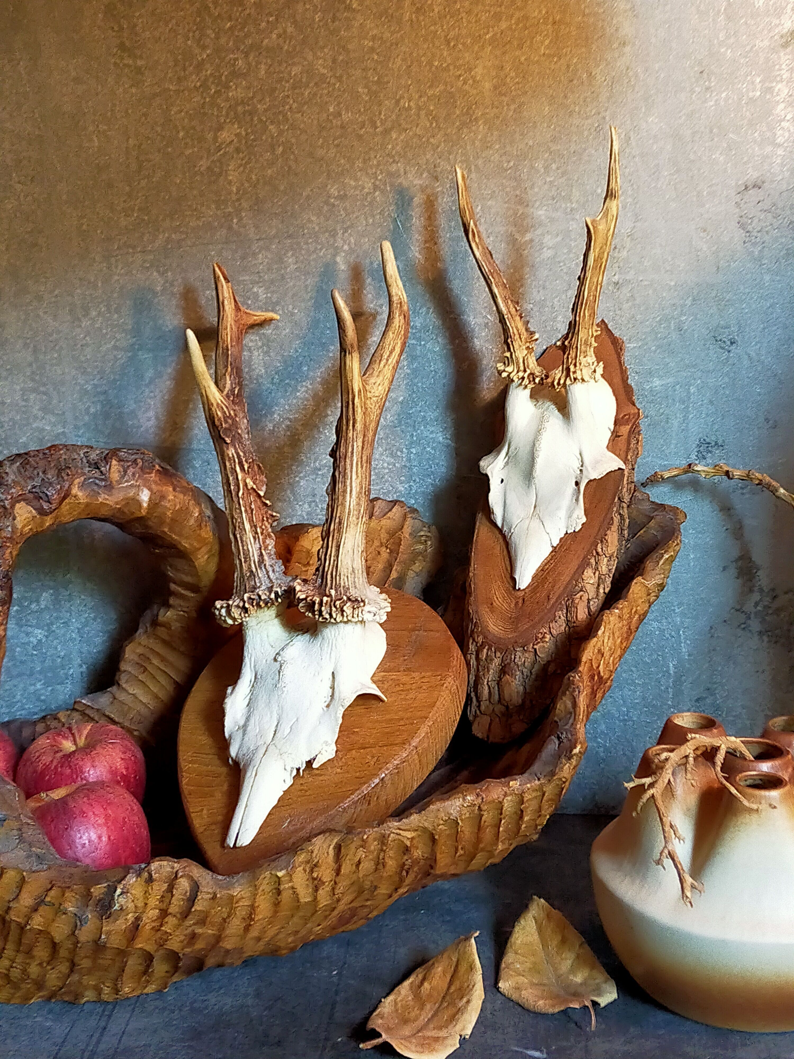 Duo of vintage hunting trophies Art-populaire 50s
