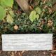 Set of 4 fibreglass planters by Willy Guhl
