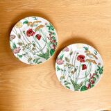 Two English dessert plates with flowers
