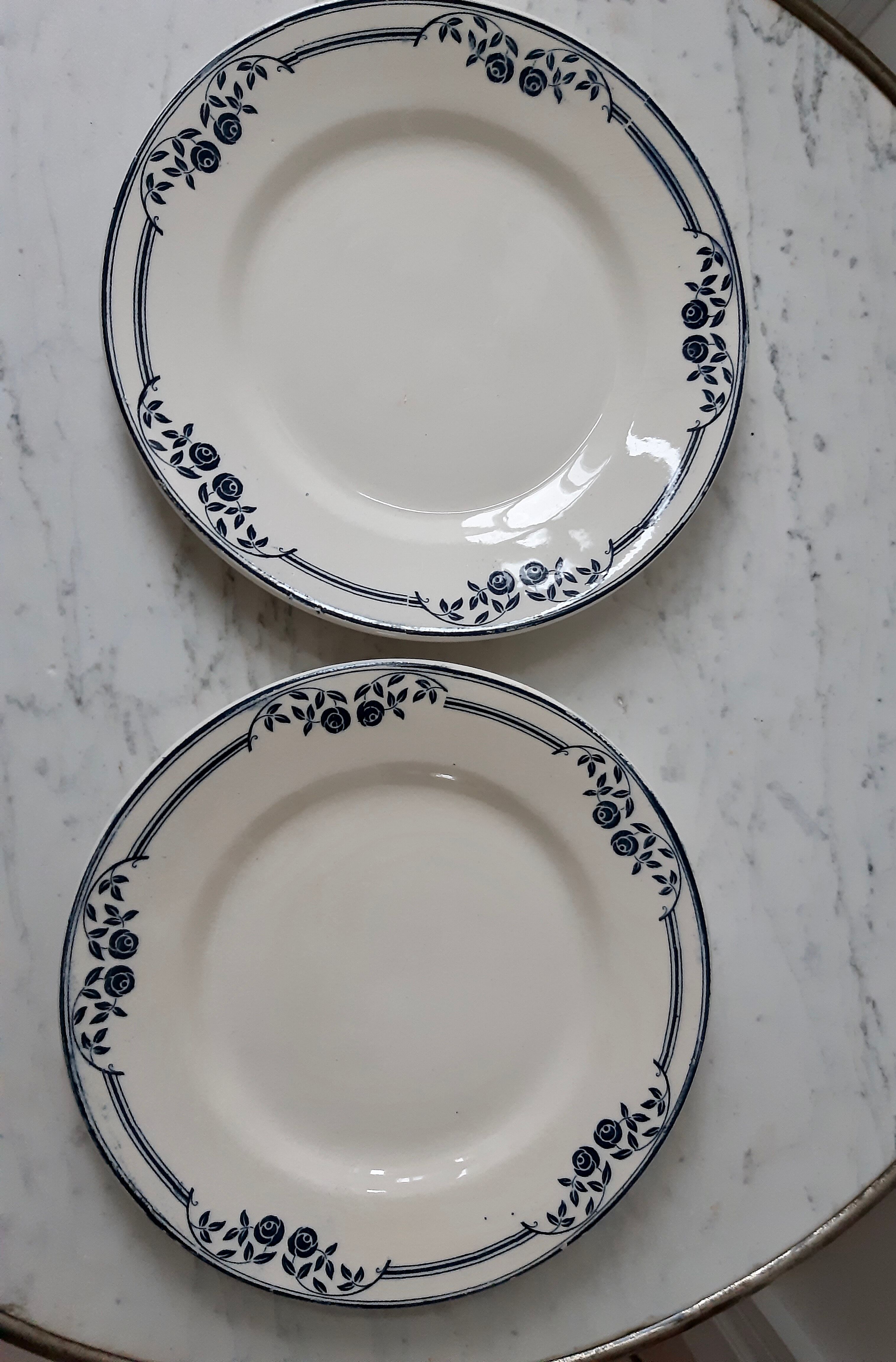 Lot of 2 dessert plates Terre de Fer Salins, Saussure model