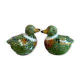 Pepper salt shaker ducks slurry