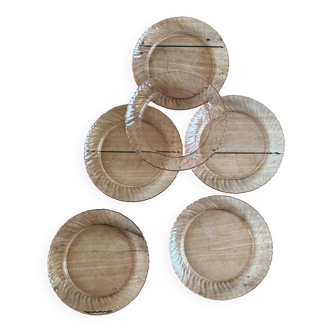Set of 6 vintage Arcoroc rosaline dessert plates