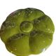 Gien oyster plate
