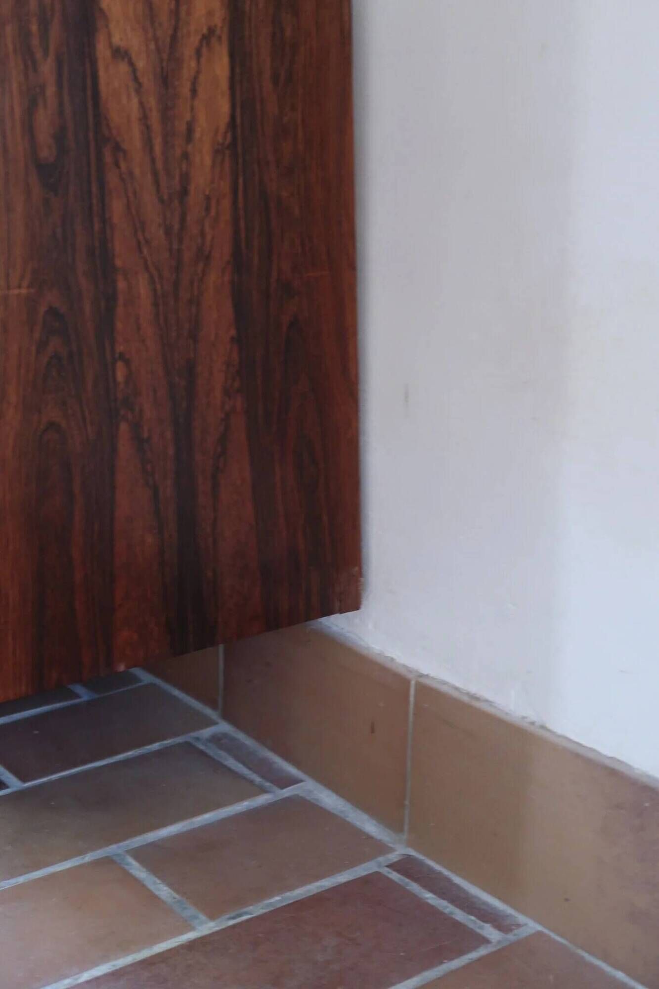 Large rosewood sideboard, 2 doors and central niche.