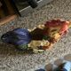 Beautiful rooster pitcher