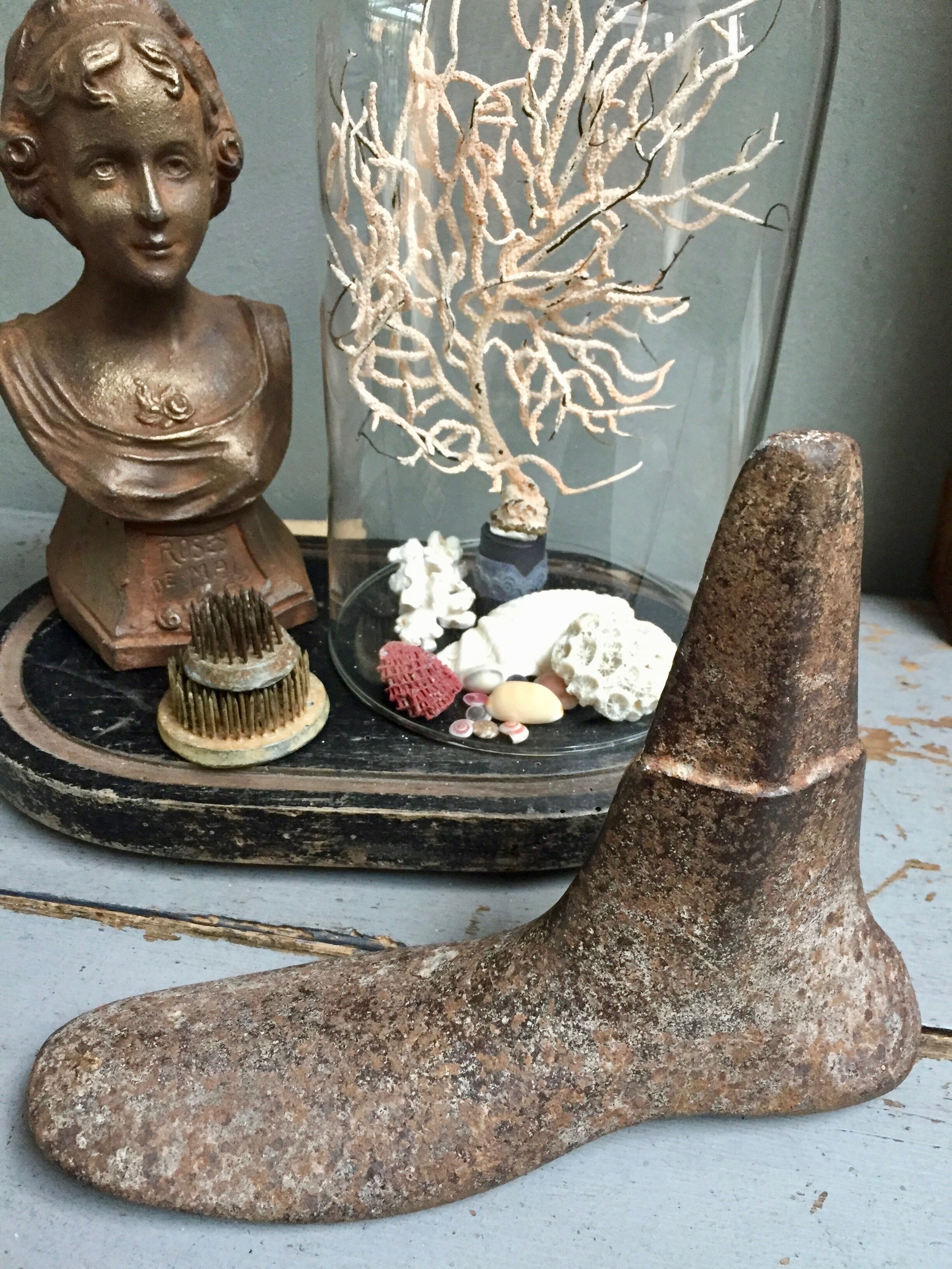 Former cobbler's anclume