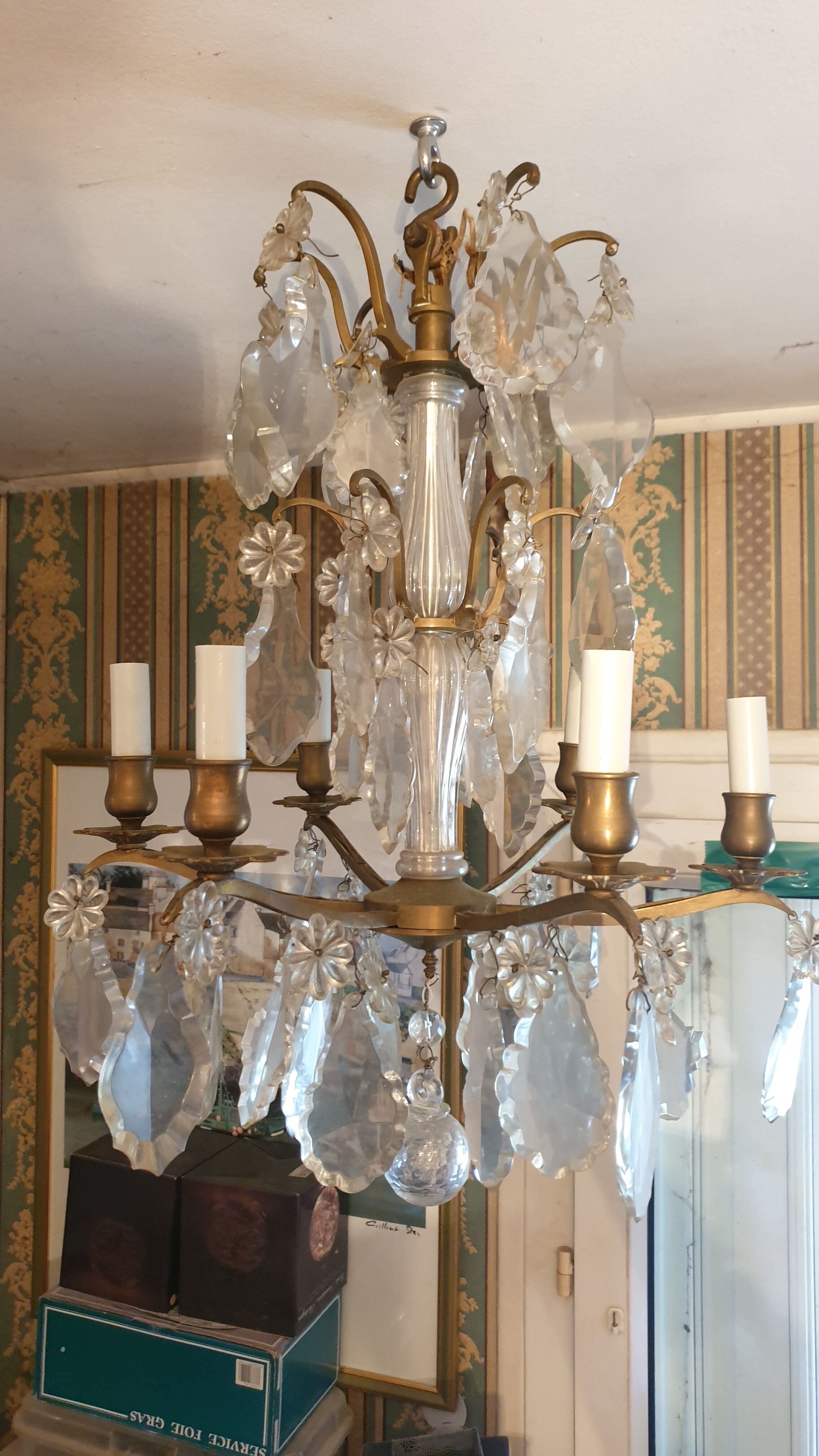 Chandelier cage with tassels