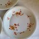 5 Assiettes à Creuses en Porcelaine Haviland France Limoges