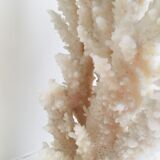 20 cm coral