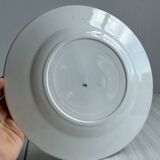 6 earthenware dinner plates, green decor, St Amand Nord iron earth.