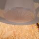 Skojig cloud pendant lamp ikea
