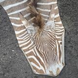 Zebra Skin, Floor Rug / Wall Tapestry, ca 1950