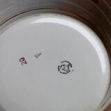 Salad bowl roses St Amand