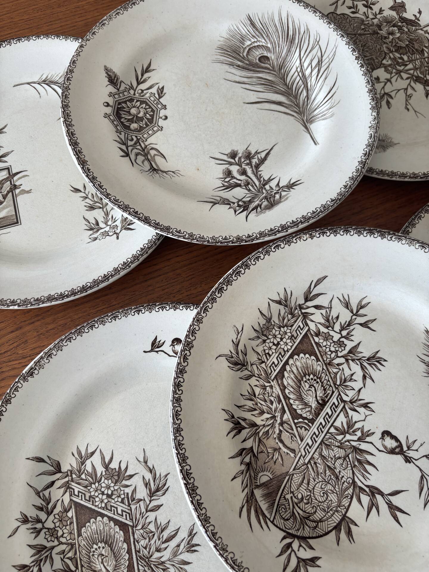 6 ironstone sepia plates | Grand Depot of Porcelains & Earthenware