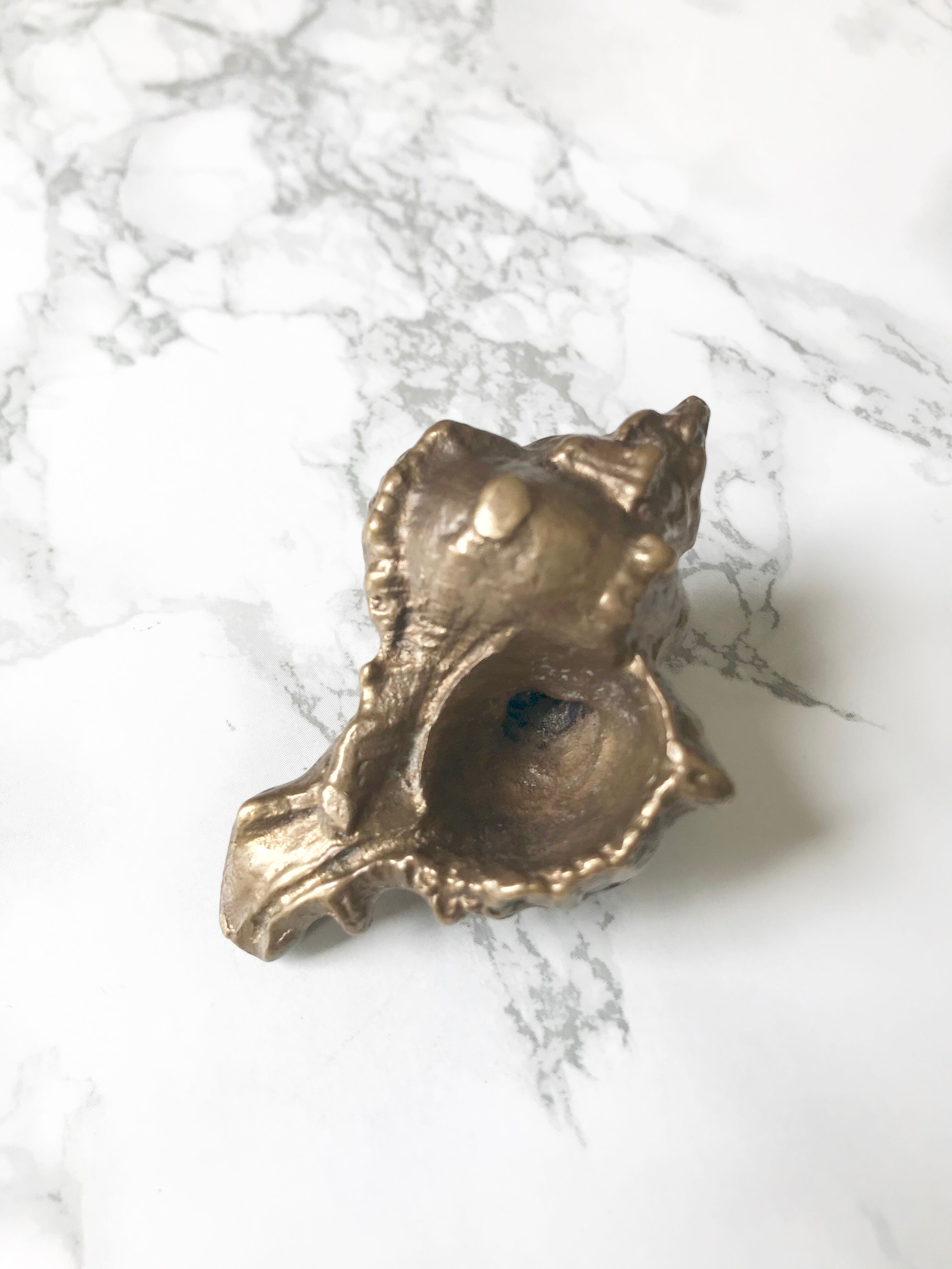 Pair of solid bronze shells