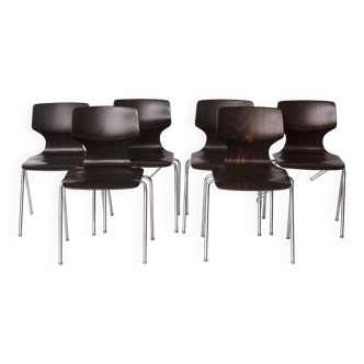 6 Flötotto Pagwood Chairs – German Design Classic, 1970s, Chrome & Plywood