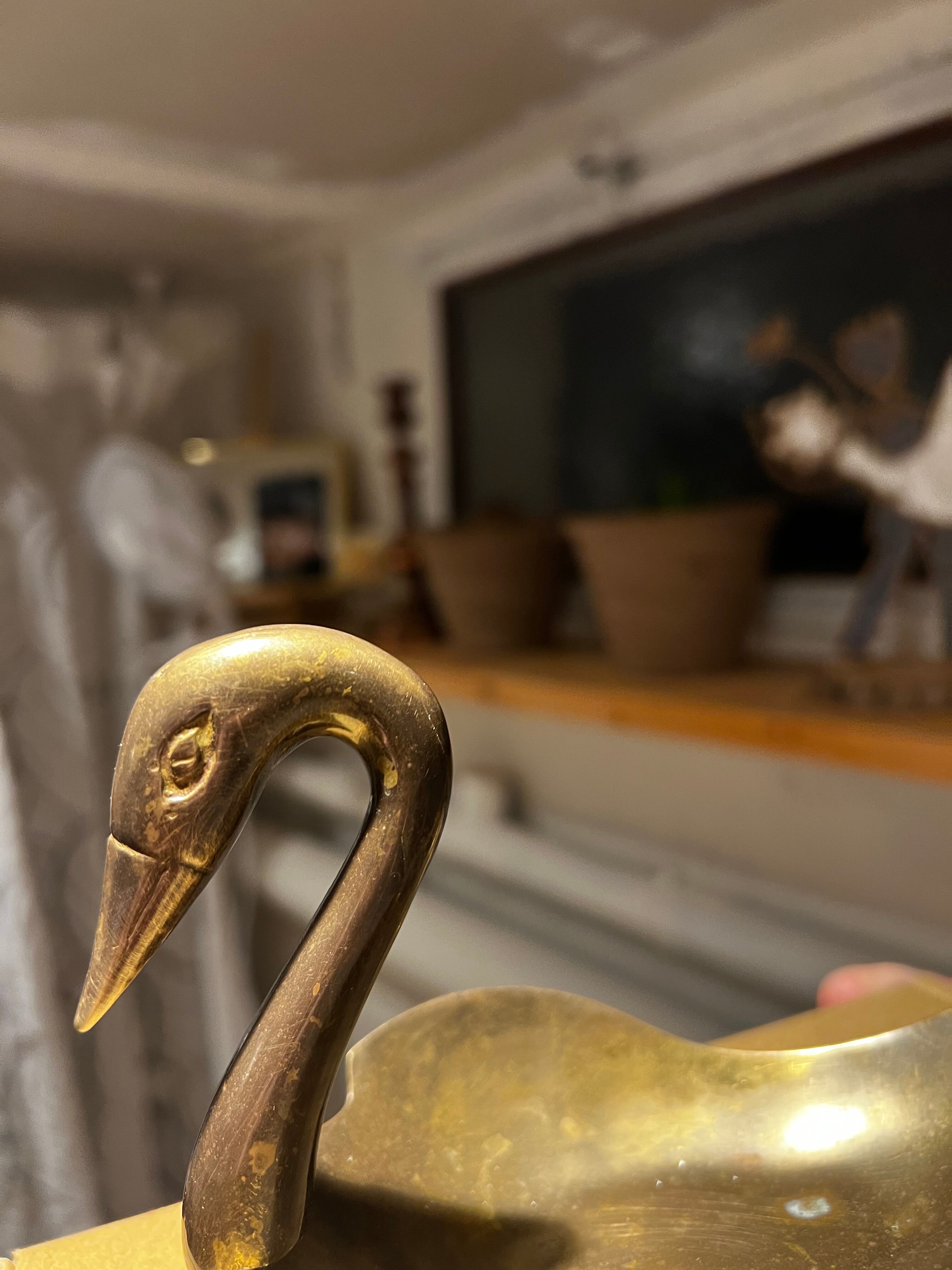 Vide poche cygne