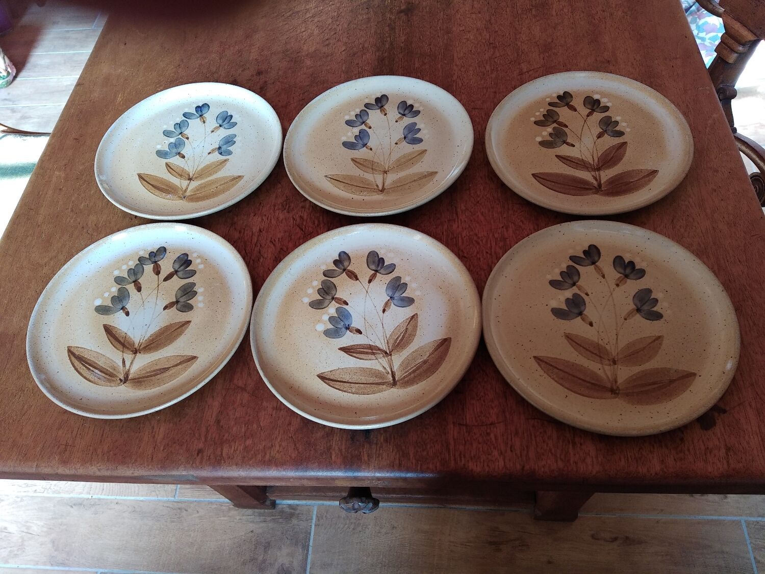 Flat plates sandstone of the marsh