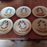 Flat plates sandstone of the marsh