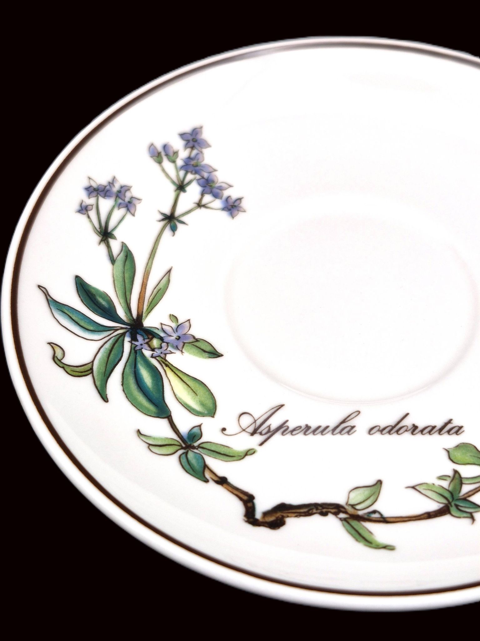Set of 6 coffee cups and saucers Villeroy & Boch, vintage, Botanica