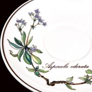 Set of 6 coffee cups and saucers Villeroy & Boch, vintage, Botanica