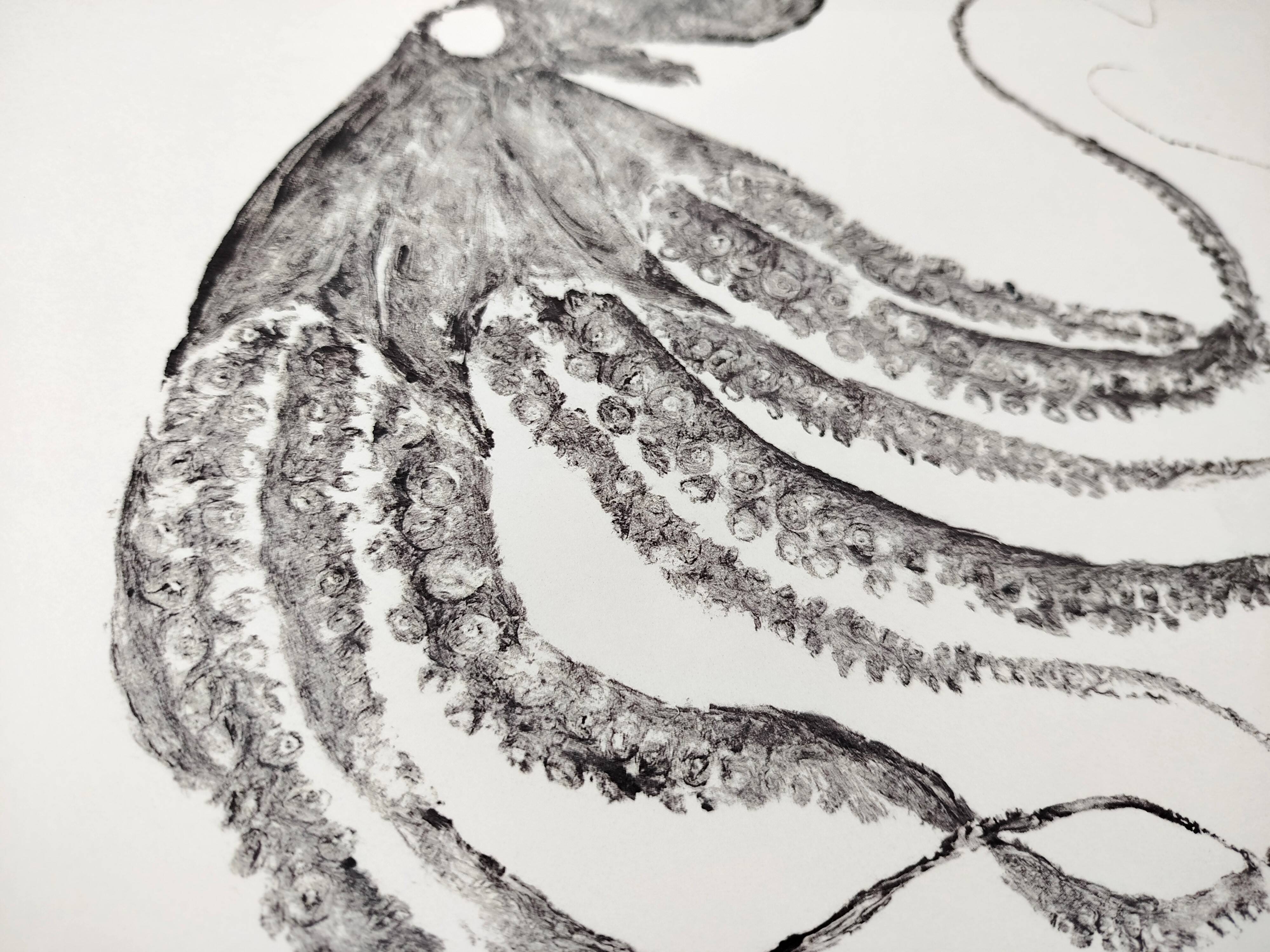 Framed art print, "Octopus Print" (gyotaku)