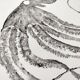Framed art print, "Octopus Print" (gyotaku)