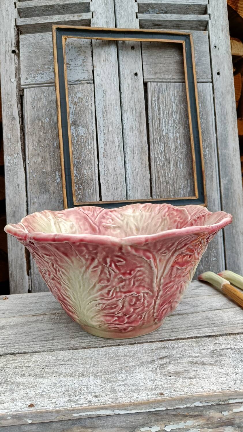 Pink cabbage slip salad bowl