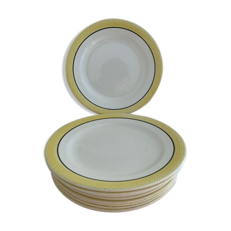 Salins plates yellow black
