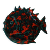 empty pocket fish