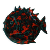 empty pocket fish