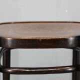 Pair of Thonet Art Nouveau bentwood chairs, Czechoslovakia, 1920s