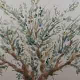 Painting signed watercolor Provençal landscape “the olive tree”