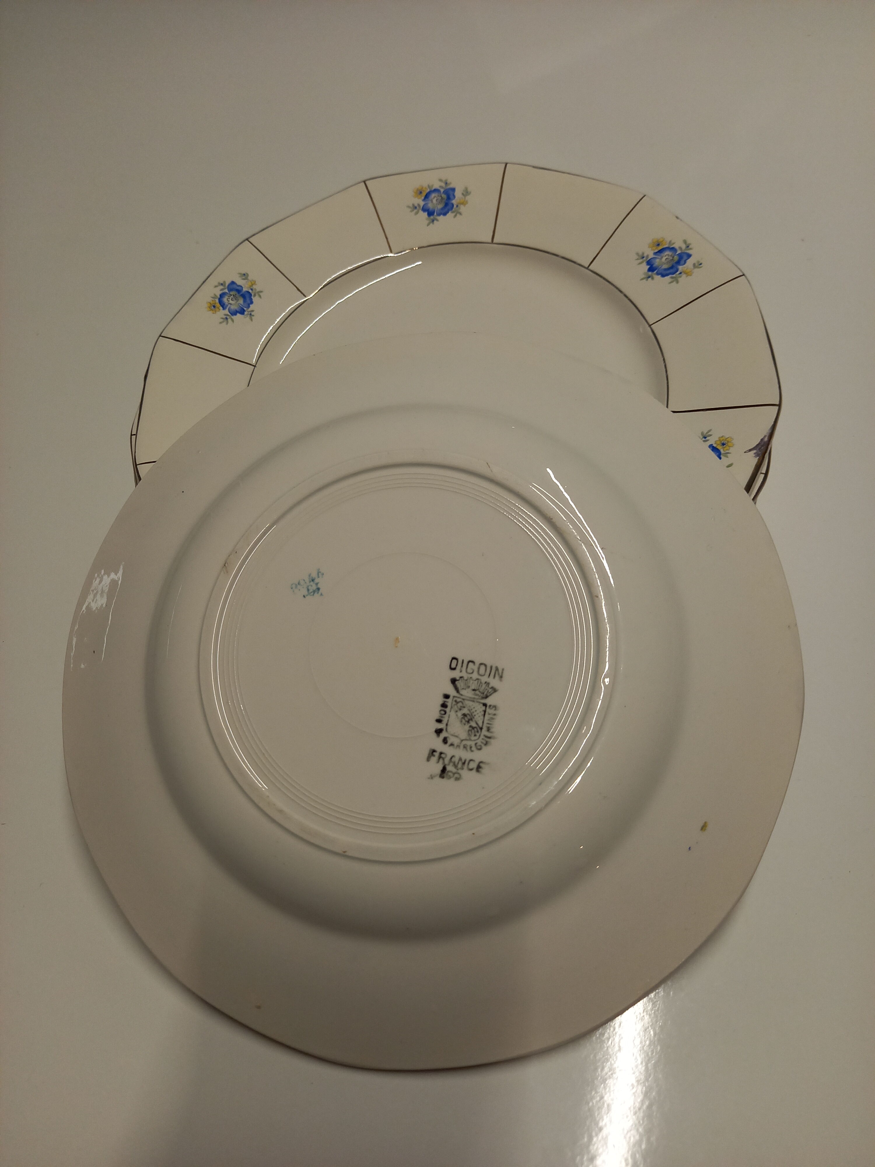 Digoin Sarreguemines flat plates