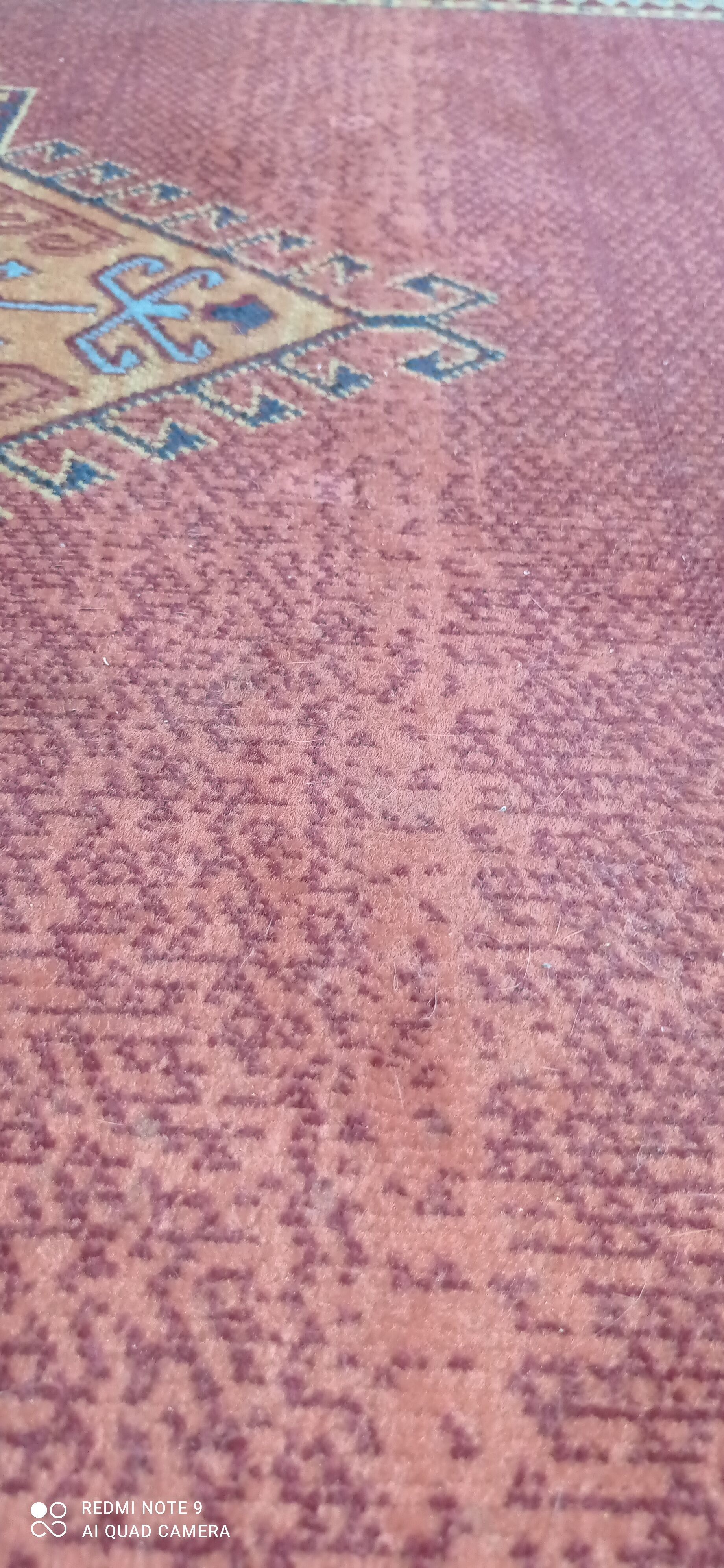 Carpets 230 x 160