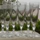 Set of 6 antique crystal champagne flutes. Engraved frieze.