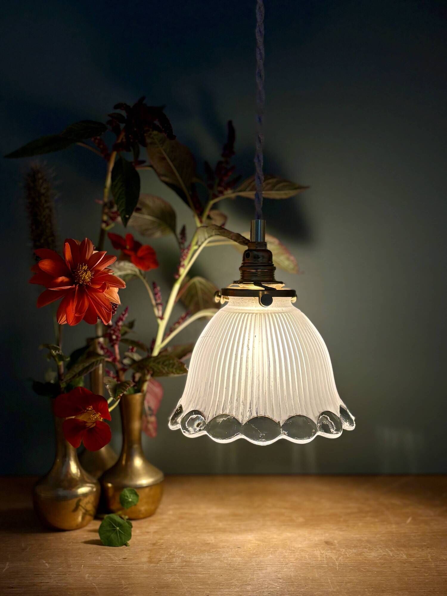 Vintage tulip suspension in frosted glass (TFB1)