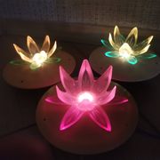 Lampe de nuit fleur de lotus nénuphar vert, Europe de l'Est