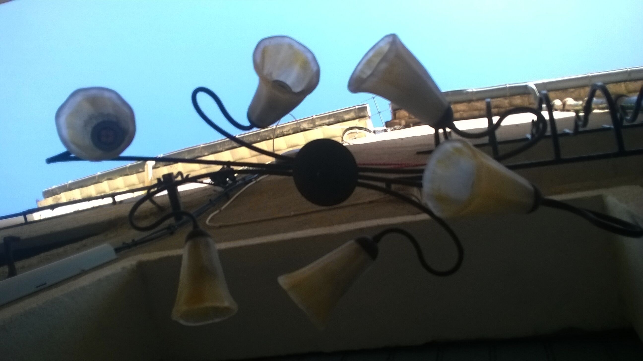 Lustre has six tulips