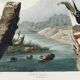 Poster of the American Kingfisher, based on an old engraving