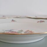 Set of 5 Limoges enameled porcelain plates