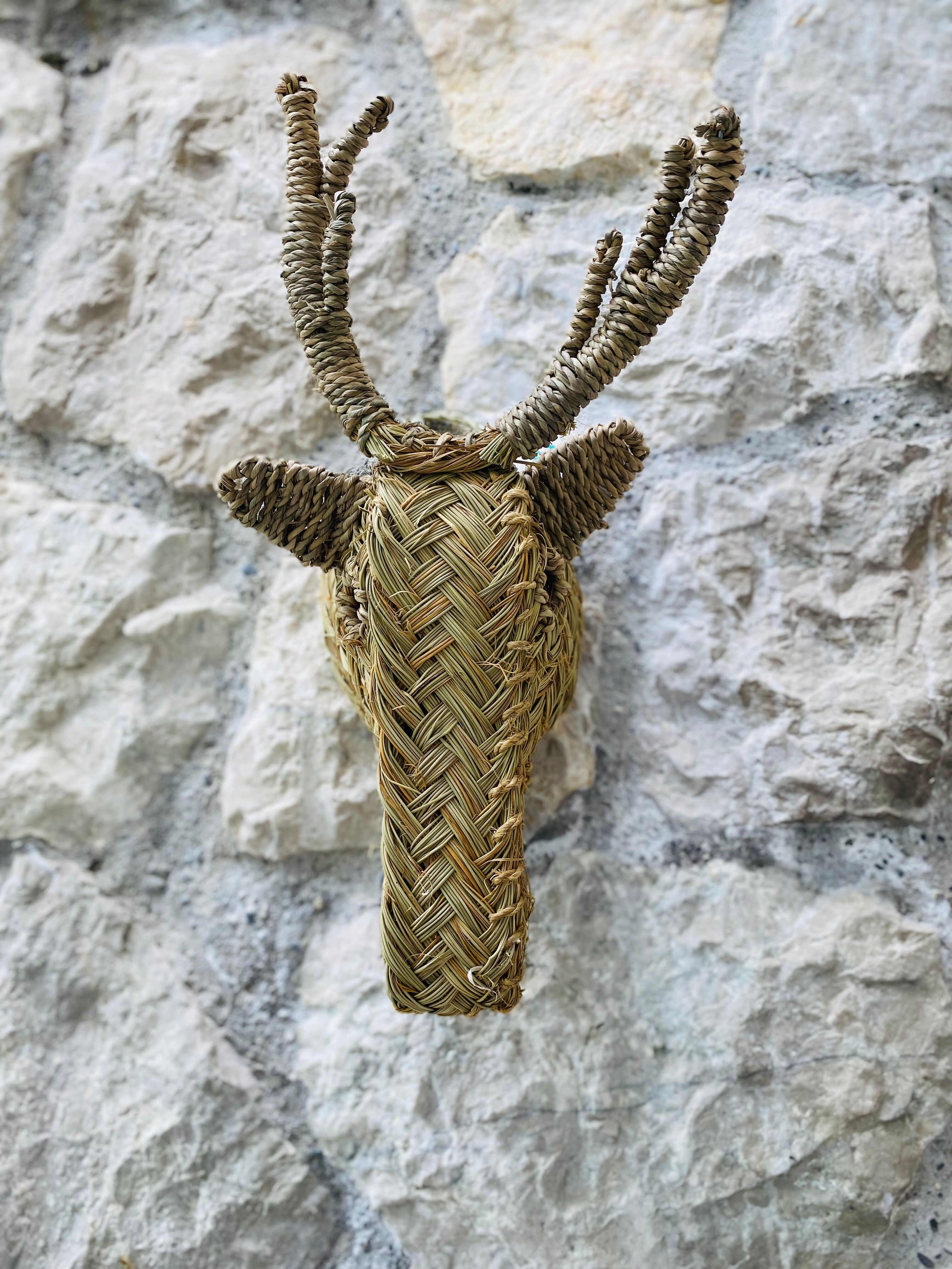 Trophy animal head in palm leaves - deer