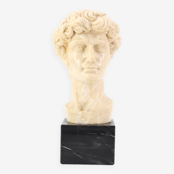 Bust of David by Michelangelo, 1970s