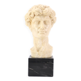 Bust of David by Michelangelo, 1970s